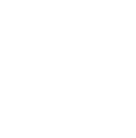 Wide range of compatible formats